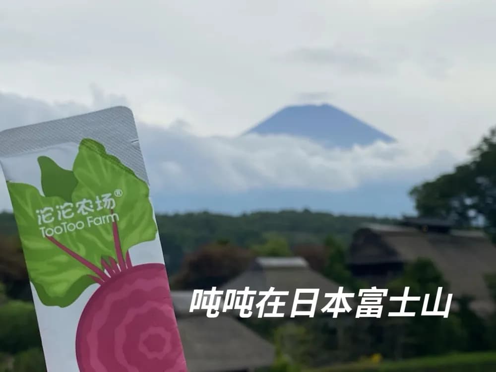 富士山下冲泡一杯菜吨吨冻干蔬菜粉